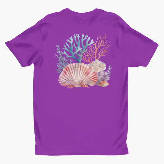 Shells & Corals