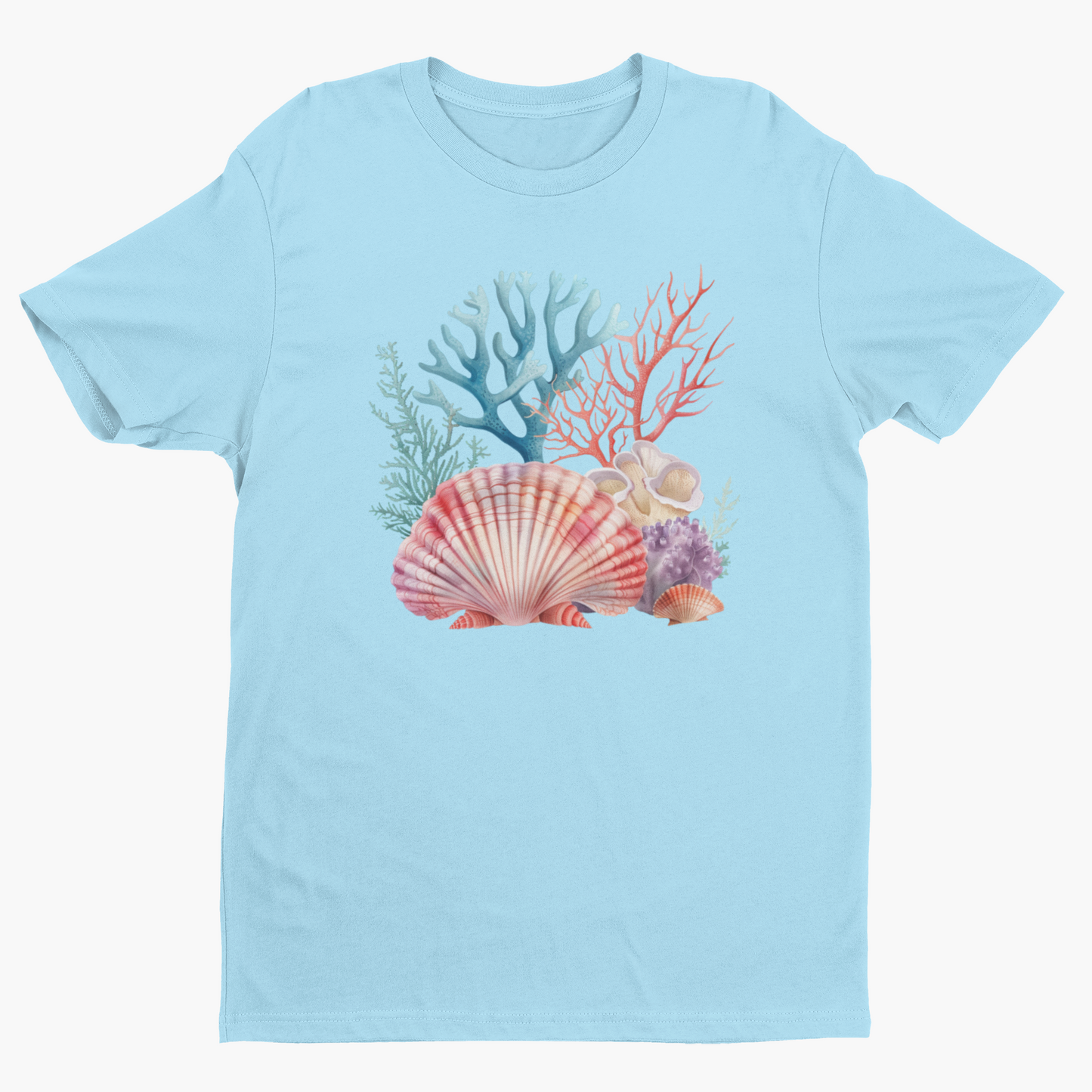 Shells & Corals