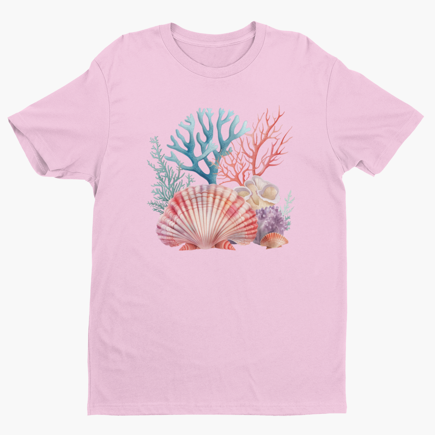 Shells & Corals